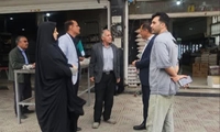  ۹۰۰ نظارت بر نانوایی های شهرستان بویراحمد در فروردین ماه/توزیع ۷۲۶ کیسه آرد ترمیمی